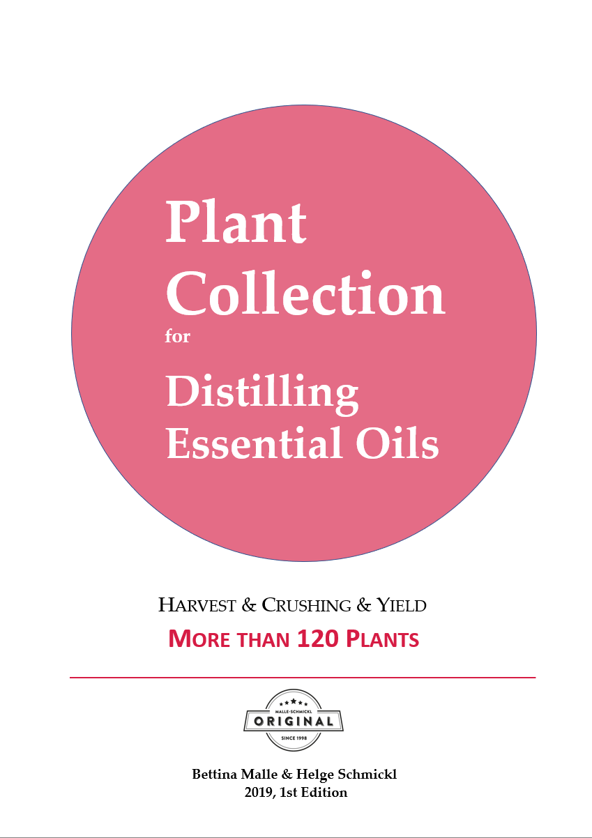 Plant Collection: Essential Oil Recipes