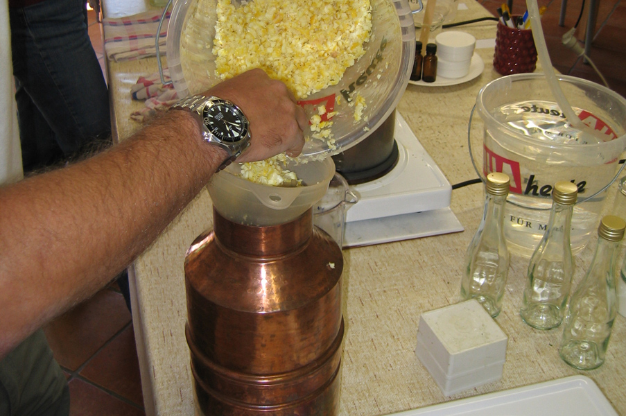 Filling the Still with Orange Peels - Essential Oil Distillation Classes