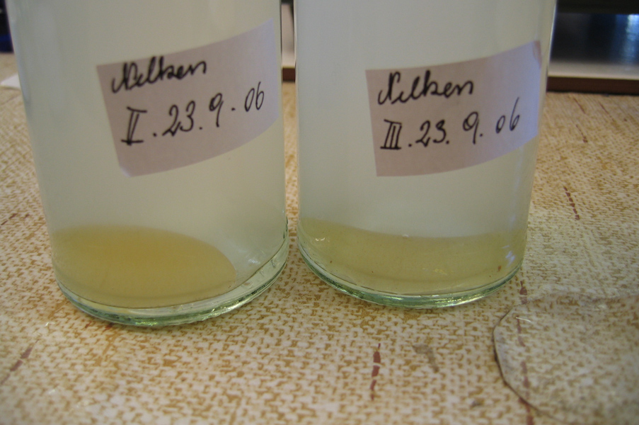 Cinnamon Oil Is Found at the Bottom - Essential Oil Distillation Classes Cinnamon Oil Is Found at the Bottom - Essential Oil Distillation Classes